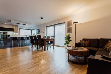 Elegant and modern apartment