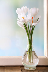 White crocus in vase on windowsill background