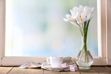 White crocus in vase on windowsill background