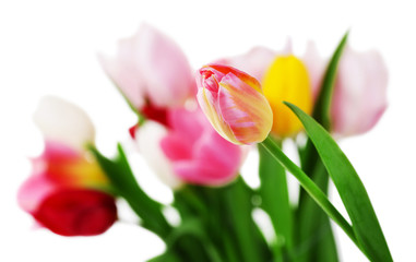Naklejka premium Fresh bouquet with tulips on blurred background