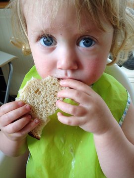 Toddler Eating Sandwish