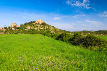 Fototapeta na wymiar Green field and monastery of Arta village, Majorca island, Spain