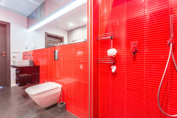 Red bathroom with shower