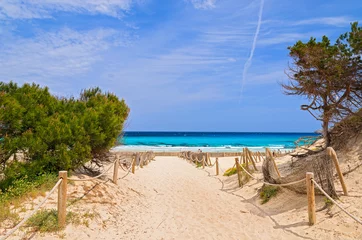 Fond de hotte en verre imprimé Descente vers la plage Entrée de la plage de sable de Cala Agulla, île de Majorque, Espagne