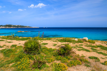 Fototapeta na wymiar View of Majorca island coast in Son Moll town, Spain