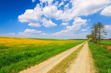 Fototapeta na wymiar Countryside road in spring landscape of Burgenland, Austria