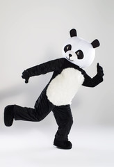 Man in panda costume over white background