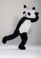 Fototapeta premium Man in panda costume over white background