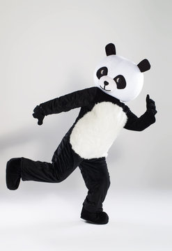 Fototapeta Man in panda costume over white background