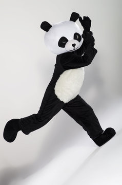 Man In Panda Costume Over White Background