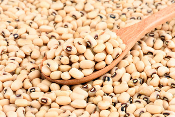Bean in the wood bowl on white background