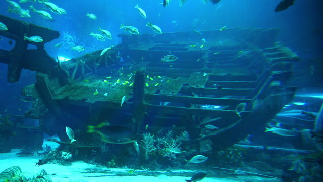 Engine room of a shipwreck