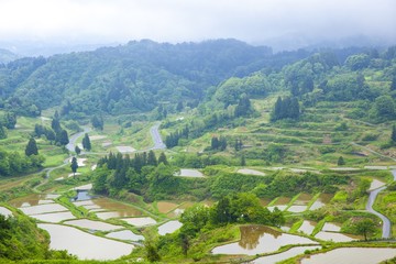 Hoshitouge Rice Terrace, Niigata, Japan