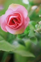 beautiful of rose artificial flowers