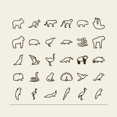 Animals - Tropics, Australia