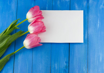 Top view of pink tulips with white sheet of paper