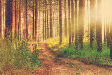 Obraz premium sunset, instagram retro style