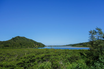 沖縄県　西表島　浦内川展望台からの眺め