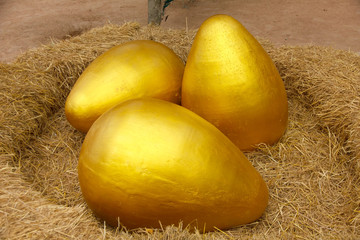 Easter Egg - Stock Image