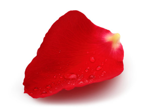 Red Rose Petal Images – Browse 61 Stock Photos, Vectors, and