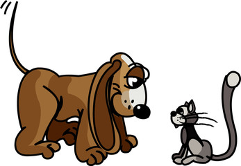 Встреча кота и собаки