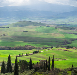 Fototapeta premium イタリア トスカーナの田園風景