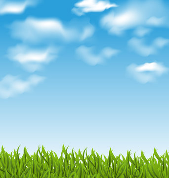 Summer background with green grass and sky