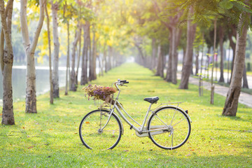 Fototapeta na wymiar old bicycle on green grass