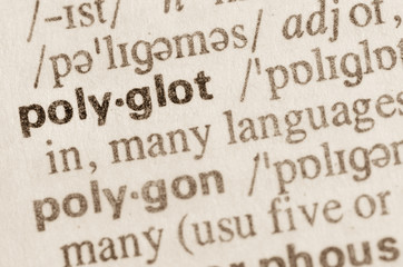 Dictionary definition of word polyglot