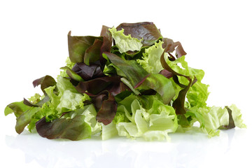 Lettuce