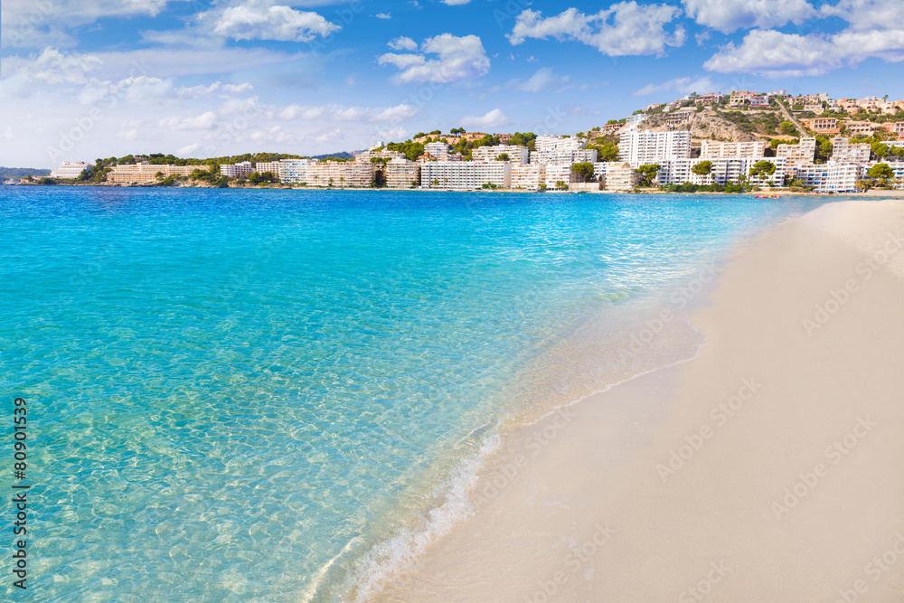 Canvas Prints Mallorca Cala Santa Ponsa Ponca beach in Majorca