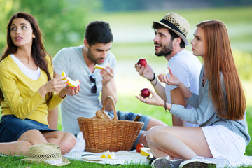 Vier Freunde beim Picknick auf der grünen Wiese