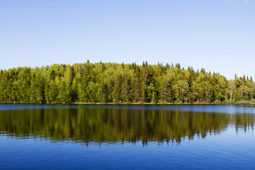 Лес отражающийся в озере