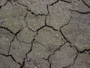 Soil texture background