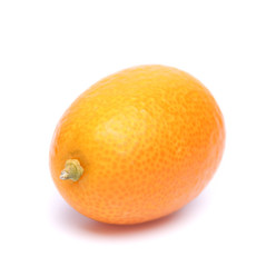 kumquat