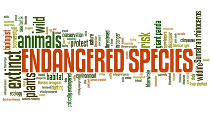 Endangered species concepts