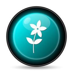 Flower  icon