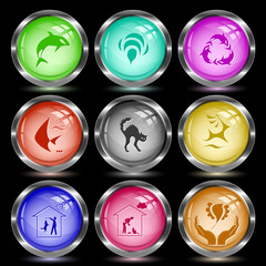 bee, killer whale as recycling symbol, fish, cat, deer, home dog