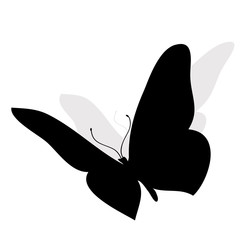 Vector illustration of a butterfly.