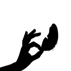 Fototapeta premium Vector illustration of a butterfly.