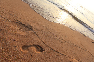 footprints in the sand