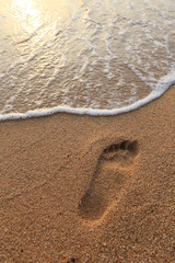 footprints in the sand