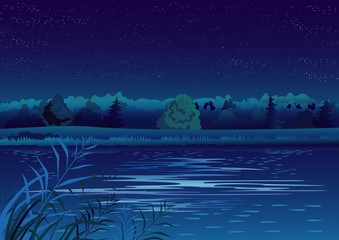 Night landscape with pond