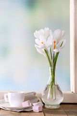 White crocus in vase on windowsill background