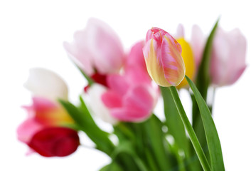 Fresh bouquet with tulips on blurred background