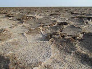 Danakil depression, plain of salt, Ethiopia