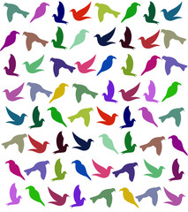 Background with birds. Vector.