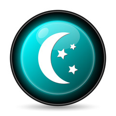 Moon icon