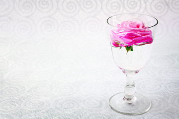 Beautiful fresh rose in glass on color wallpaper background