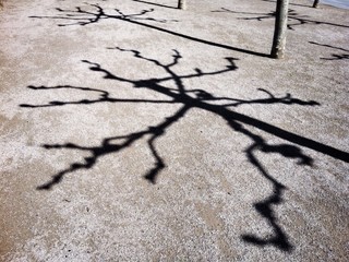 Obraz premium Schattenwurf